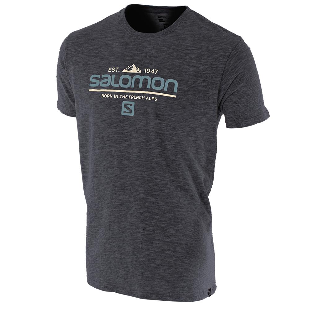 T-Shirts Salomon Homme Grise - Salomon VISIONARY SS M - France (5927-BELGS)